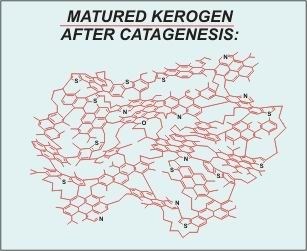 Illustration of matured kerogen after catagenesis.